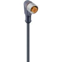 Lumberg Automation 40212-1 Sensor/actuator connector, geassembleerd M12 Aantal polen (sensoren): 5 Bus, haaks 2.00 m 1 stuk(s) - thumbnail