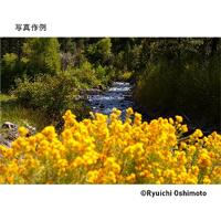 Sigma 28-70mm F/2.8 DG DN Contemporary Sony FE - thumbnail