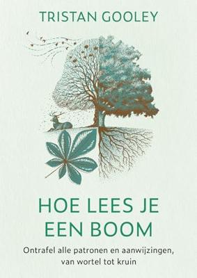 Hoe lees je een boom (Paperback)