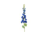 Decostar Delphinium Pacific XL 103 cm blauw - thumbnail