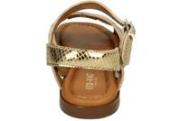 Red Rag 79664 - alle - thumbnail