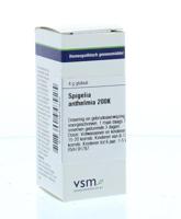 VSM Spigelia anthelmia 200K 4 Gram - thumbnail