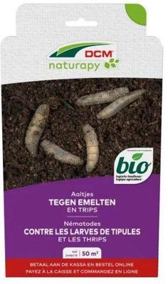 Aaltjes tegen emelten en trips 50 m2 DCM Natuurlijke Vijanden - Dcm natuurlijke vijanden