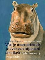 Wat je moet doen als je over een nijlpaard struikelt - thumbnail