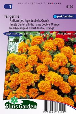 Tagetes Patula zaden Tangerine afrikaantje