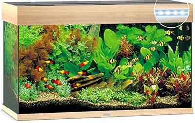 Juwel aquarium Rio 125 LED met filter licht eiken Juwel Gebr. de Boon - Gebr de boon Juwel aquarium Rio 125 LED met filter licht eiken Juwel Gebr. de Boon - Gebr de boon