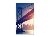 Videowall Monitor Sharp 60005927 4K Ultra HD 98" - thumbnail