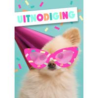 Wenskaart Hallmark uitnodiging hond met zonnebril pak à 5 stuks - thumbnail