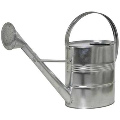 Siena Garden 2381629 Zinkgießkanne 10l, silber Stahlblech, verzinkt Gieter 10 l