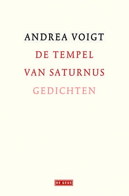 De tempel van Saturnus - Andrea Voigt - ebook