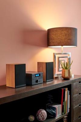 Bluetooth microsysteem - THOMSON - Hout/Zwart - FM/CD/MP3/USB-radio, 20W RMS, FM RDS-tuner, hoofdtelefoonaansluiting, afstandsbediening, voeding. 230V