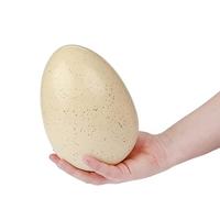 Dream Horse eenhoorn ei - thumbnail