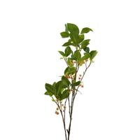 Pronkklokje Tak 110 cm Groen/Roze - thumbnail