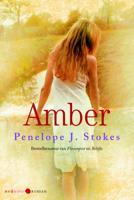 Amber - Penelope J. Stokes - ebook - thumbnail