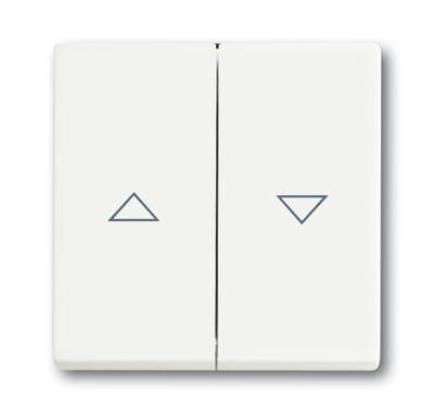 Busch-Jaeger bedieningswip 1785 JA-884 studiowit mat