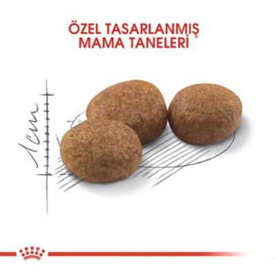 Royal Canin Sterilised 37 kattenvoer 10kg - thumbnail
