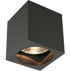 Plafondlamp BIG THEO CEILING OUT antraciet 1xGU10 Plafondlamp BIG THEO CEILING OUT antraciet 1xGU10