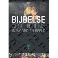 Bijbelse Geschiedenis In Woord En Beeld 8 (DVD) - thumbnail