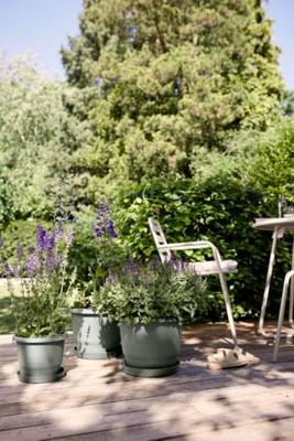 Elho amiga 47 thyme green Elho amiga 47 thyme green