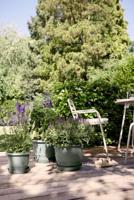 Bloempot - ELHO - Amiga Rond 40 - Groen - Ø 39 x H 29 cm - Buiten - 100% gerecycled - thumbnail