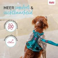 Hondentuigje Company of Animals Turkoois S 28-42 cm - thumbnail