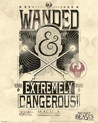 Poster Fantastic Beasts - Extremely Dangerous 40x50cm