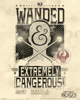 Poster Fantastic Beasts - Extremely Dangerous 40x50cm - thumbnail