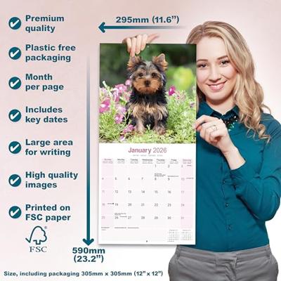 Yorkshire Terrier Kalender 2026