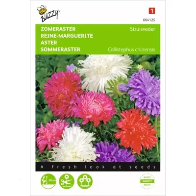 Callistephus, Zomeraster Struisveder gemengd