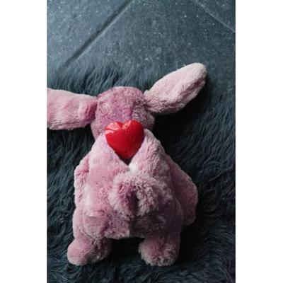Cozy Dog Bunny Brown - thumbnail