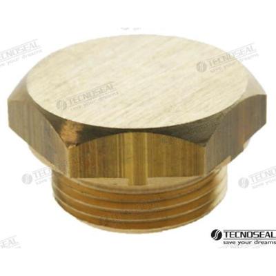 Ánodos para Badouin TEN02300TP - TAPON PARA BOUDOUIN D.20 TEN02300T
