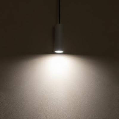 Lyora Smalle pendelFourty S lichtgrijs - 10900
