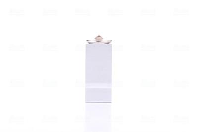 Expansieventiel, airconditioning 999238