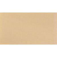 Rademacher WR-Typ 720 Printplaat Hardpapier (l x b) 160 mm x 100 mm 35 µm Rastermaat 2.54 mm Inhoud 1 stuk(s) - thumbnail