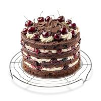 Patisse taartrooster roestvrijstaal 30cm - thumbnail