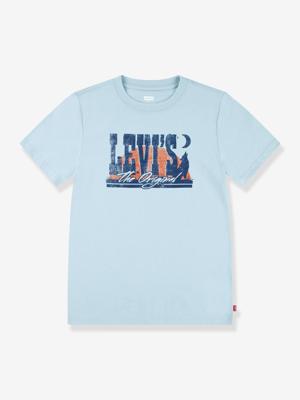 T-shirt Desert at Dusk LEVI'S® blauwgroen T-shirt Desert at Dusk LEVI'S® blauwgroen