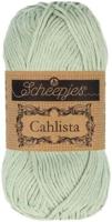 Scheepjes Cahlista 50g - 402 Silver Green - thumbnail
