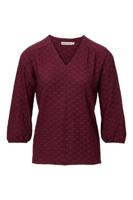 Dreamstar Top W25 105 Kane - thumbnail