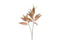 Decostar kunsttak Eucalyptus 80 cm bruin - thumbnail