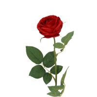Kunst Rozentak Bella 50cm Rood - thumbnail