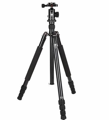 Sirui T-1204XL Carbon Traveller + E-10 head