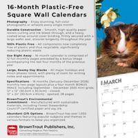 Cavia Kalender 2026 - thumbnail