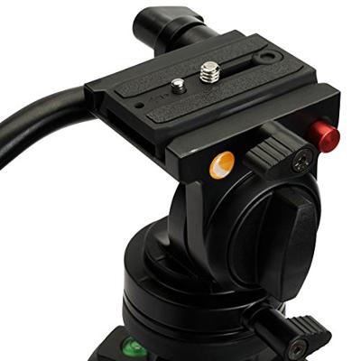 Celestron 82052 Regal Premium statief voor spotting scopes, verrekijkers, camera's en kleine telescopen, zwart
