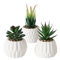 Boltze Home Kunstplant vetplant in pot wit h15cm - thumbnail