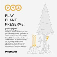 ProMark DV6R Diversity Series System Blue Medium Soft Vibraphone mallets - thumbnail