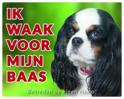 Cavalier King Charles Spaniel Waakbord - Tricolour Cavalier King Charles Spaniel Waakbord - Tricolour