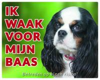 Cavalier King Charles Spaniel Waakbord - Tricolour - thumbnail