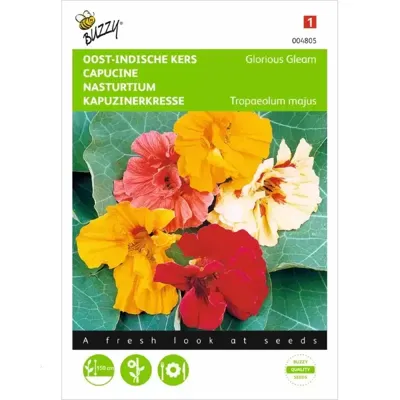 Tropaeolum, Oost-Indische kers Glorious Gleam Tropaeolum, Oost-Indische kers Glorious Gleam