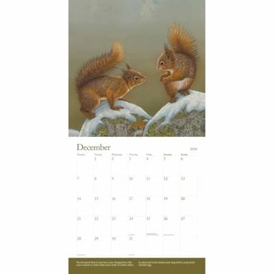 British Wildlife Kalender 2026 British Wildlife Kalender 2026
