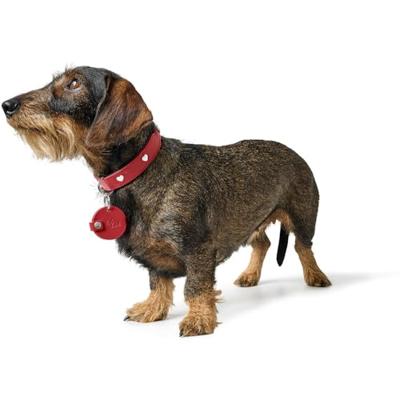 HUNTER Hondenpenning-etui Love, bruin, Maat: S HUNTER Hondenpenning-etui Love, bruin, Maat: S